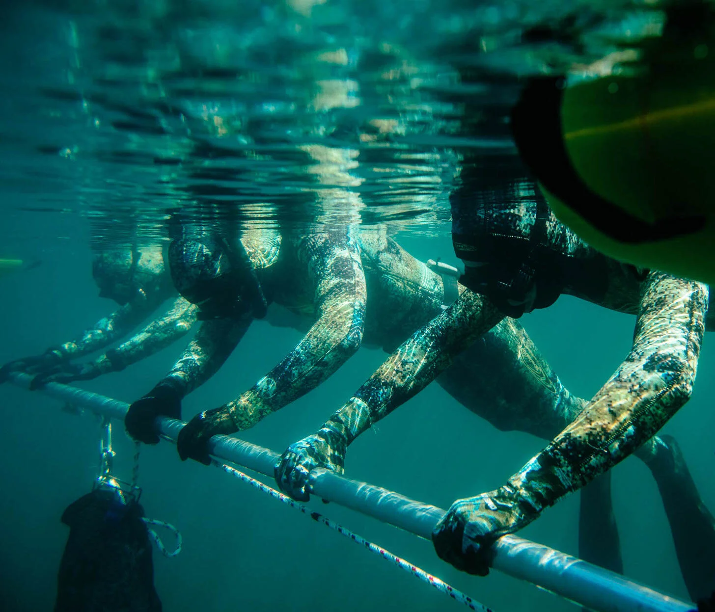 Private Freediver Course - Sept 3*/4*/6/7 - Victoria