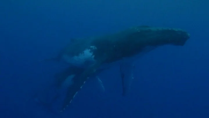 Looking back on 2025 has left me a little speechless when putting together the pieces that made the amazing year that we got to be a part of whole&hellip;

There&rsquo;s so many people that brought this year together with us as either participants or