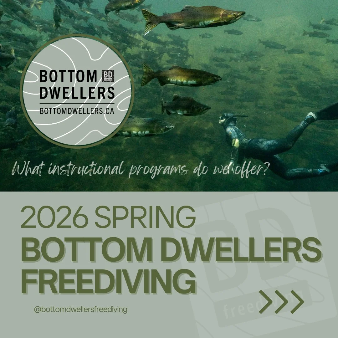 We're getting set to launch into our 9th season of operations at Bottom Dwellers Freediving as we round in towards our 'Decade Year' servicing the freediving community locally on Vancouver Island and Beyond. ⁠
⁠
Our 2026 programs are live and beginni