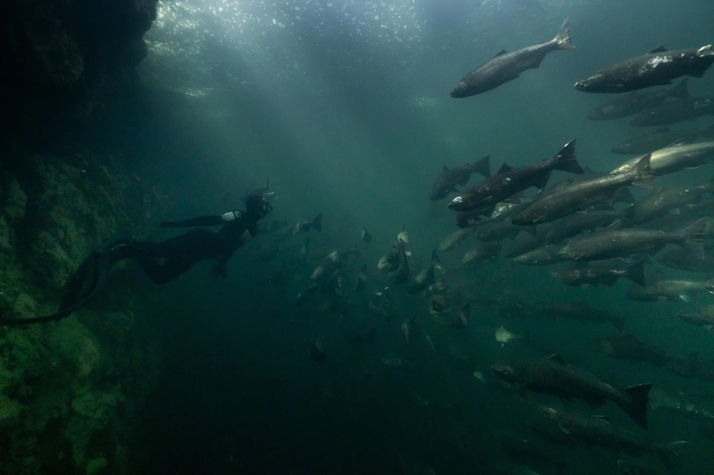 We're very grateful for all the incredibly strong, kind and talented women that we've had the pleasure of sharing the waters with over the last decade and then some!⁠
⁠
Thanks for being the inspiration to so many with a special acknowledgement to my 