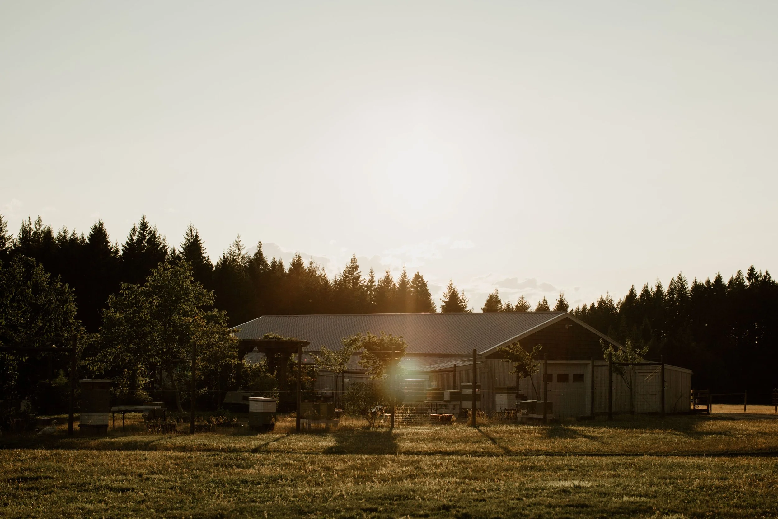 Barn (Outside).jpg
