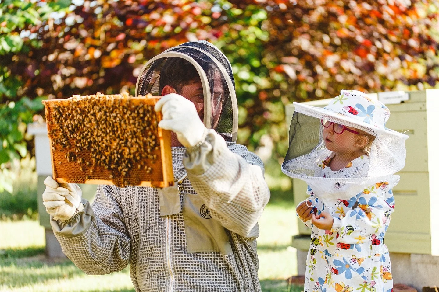 Beekeeping (1).jpg