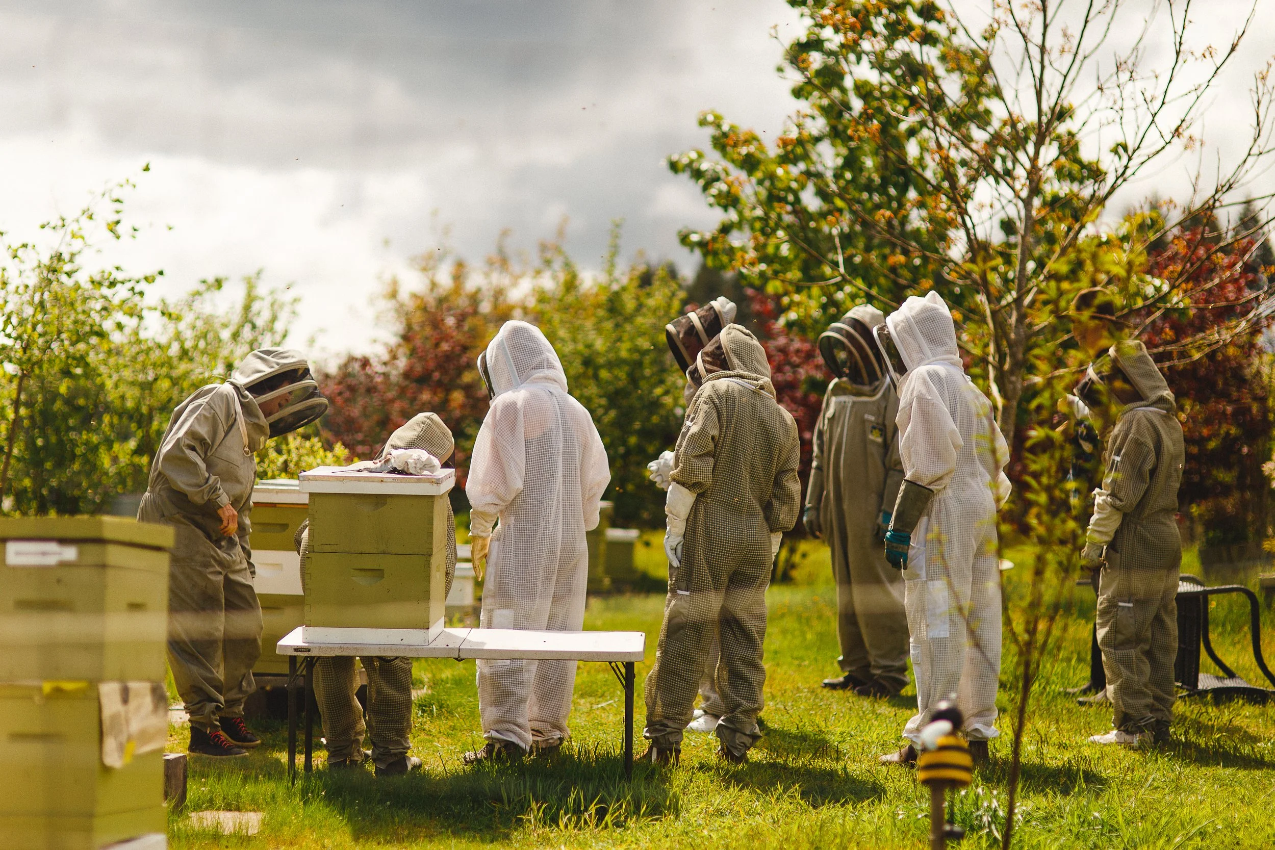Beekeeping (2).jpg