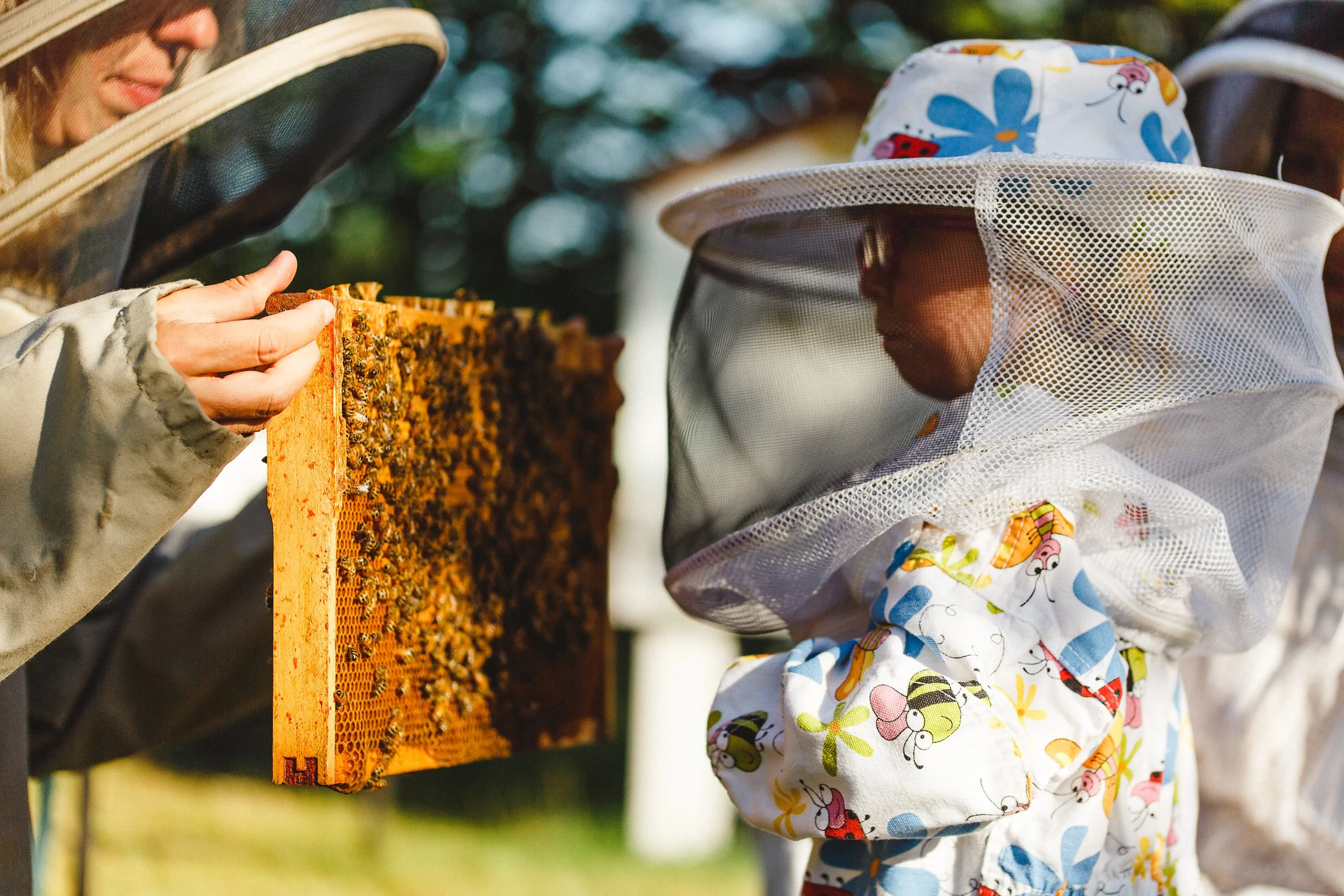Beekeeping (3).jpg