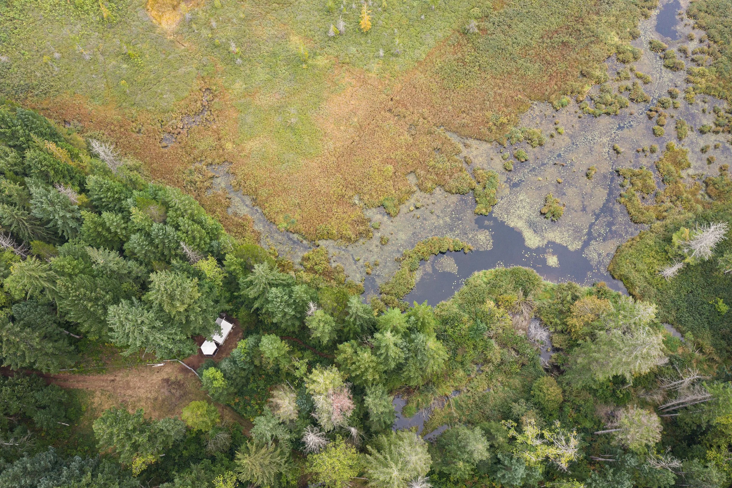 Drone Farm.jpg