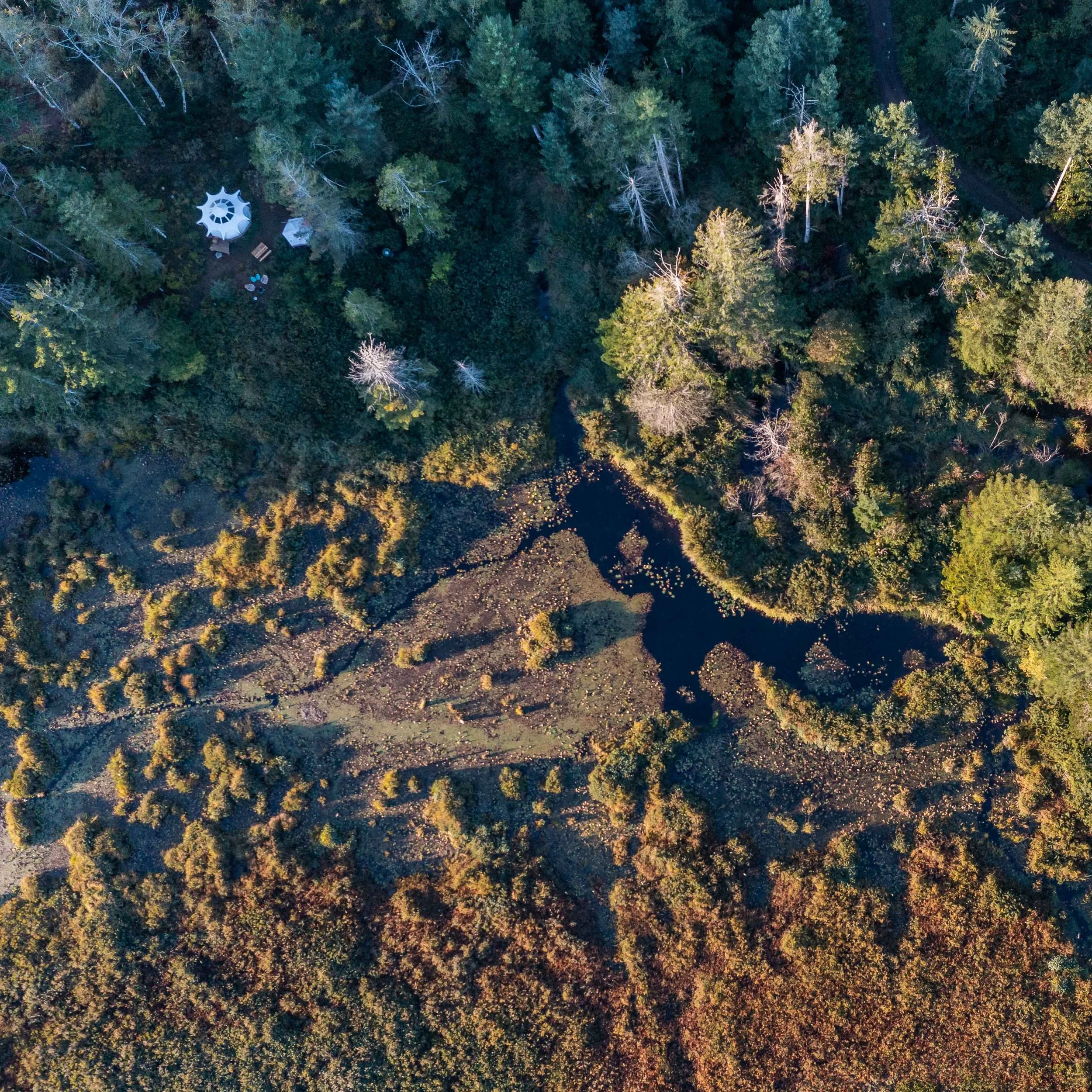 Drone.jpg