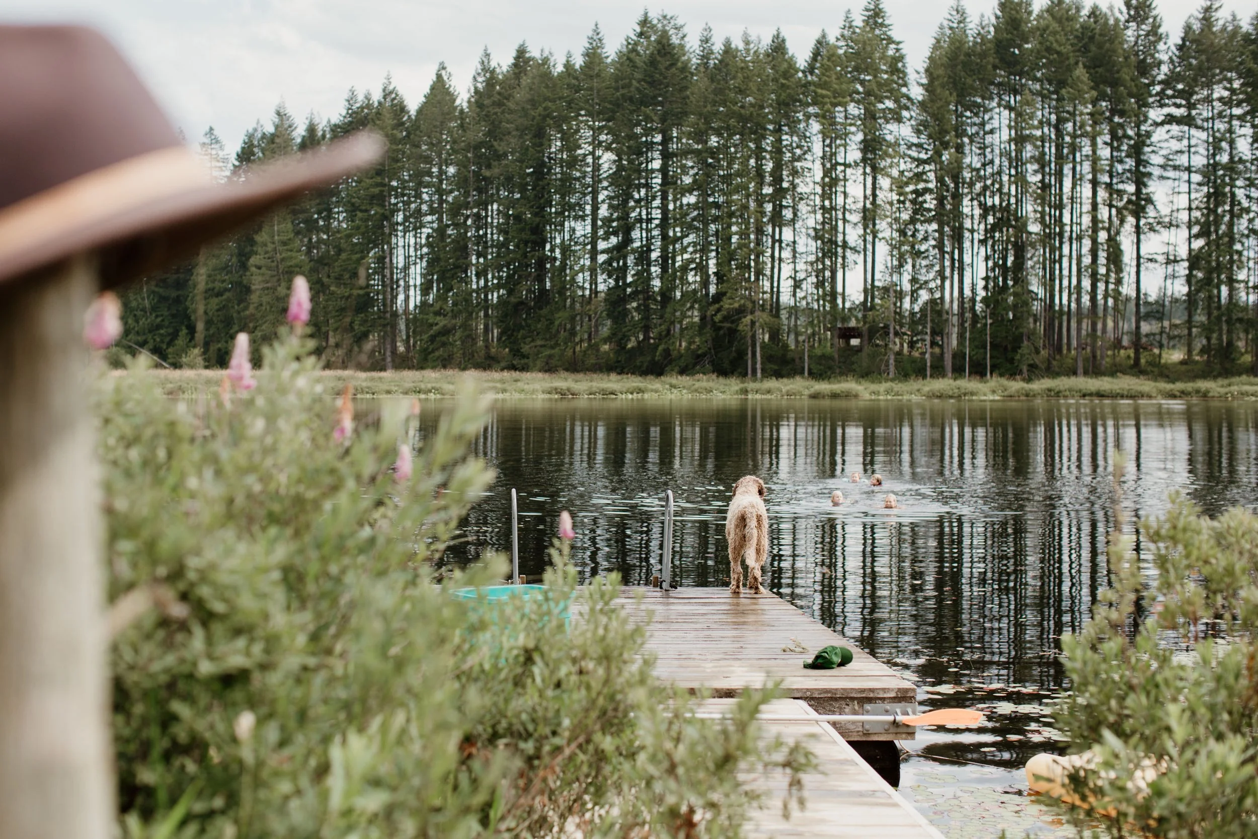Lake (1).jpg
