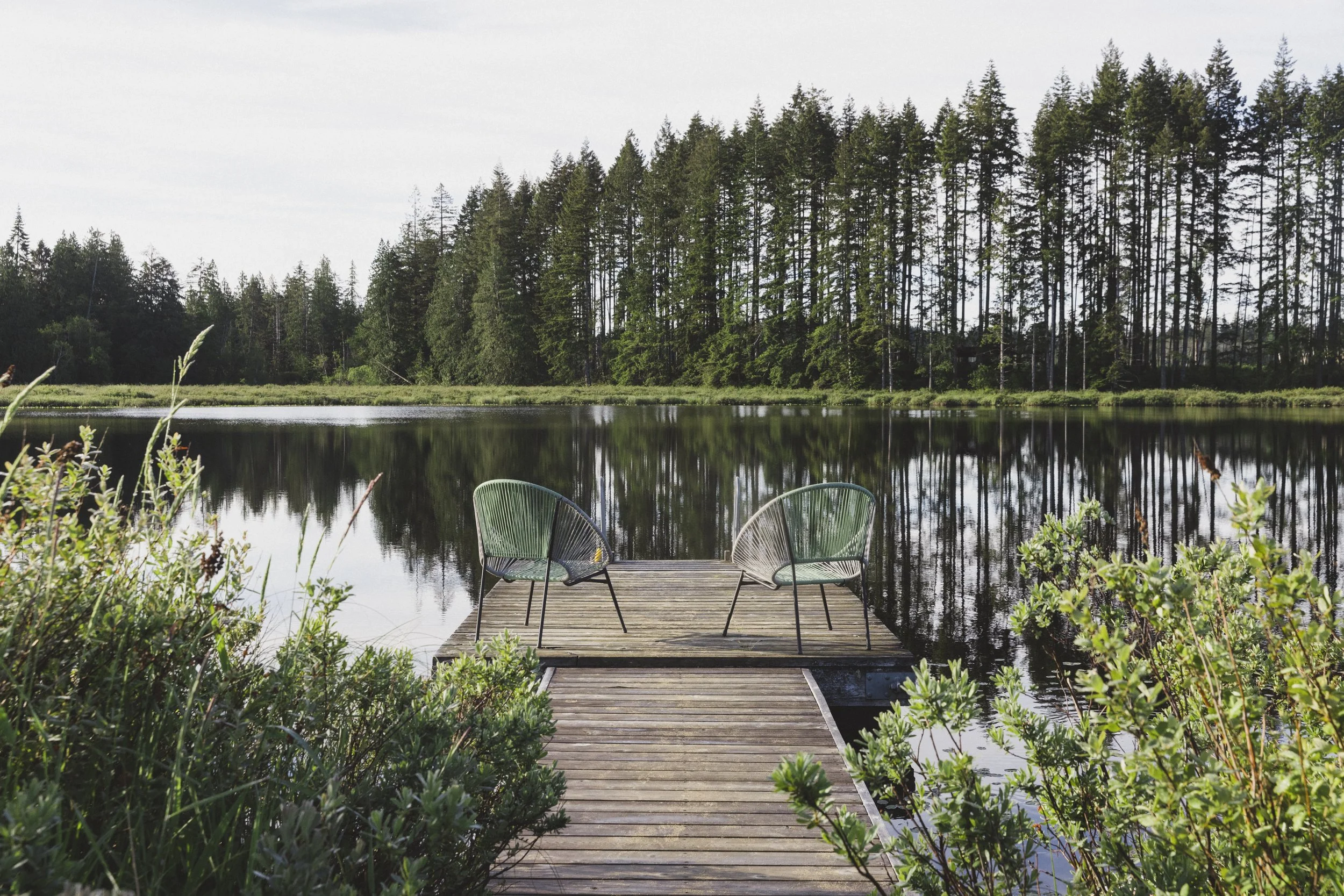 Lake (2).jpg
