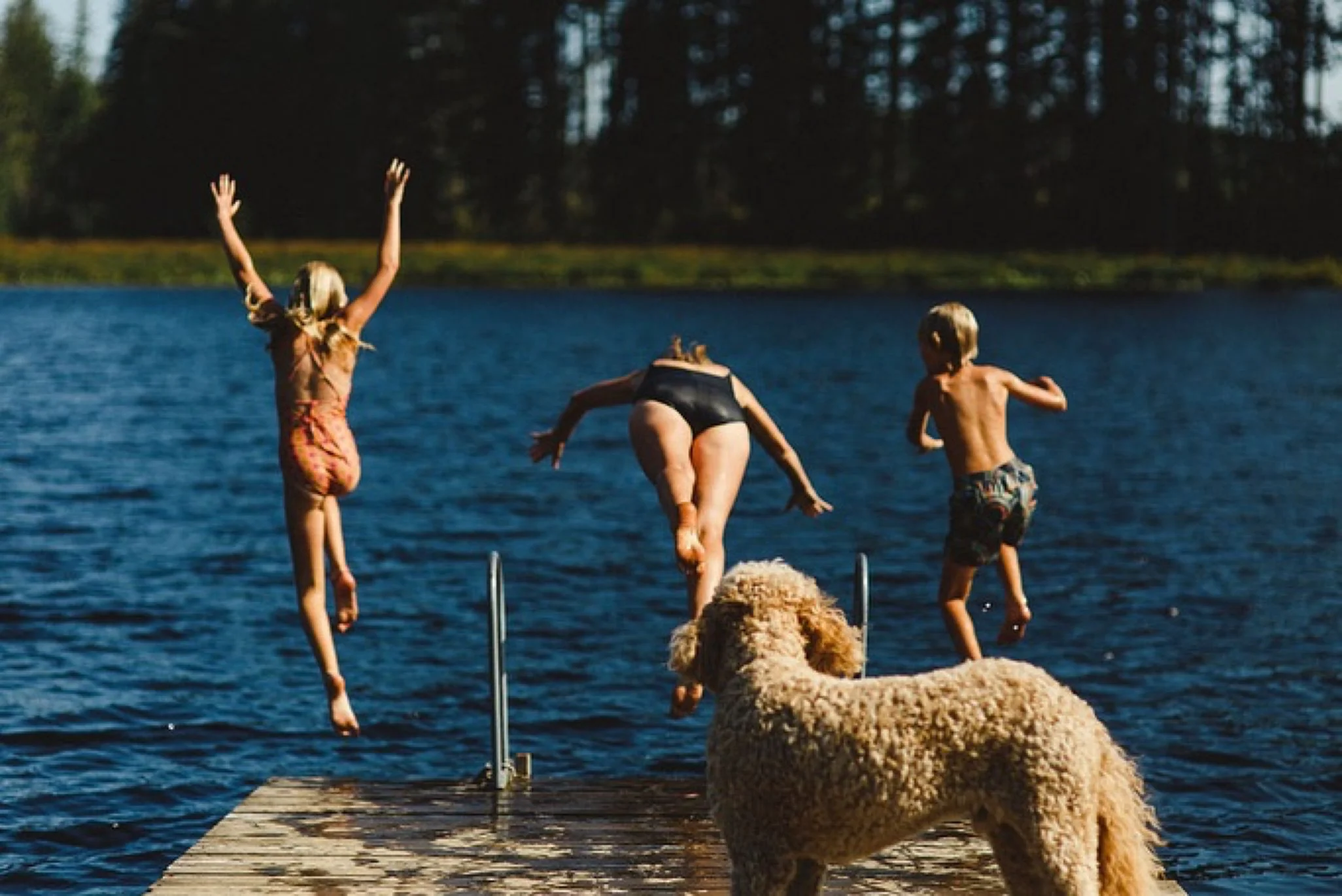 Lake dog and People.jpg