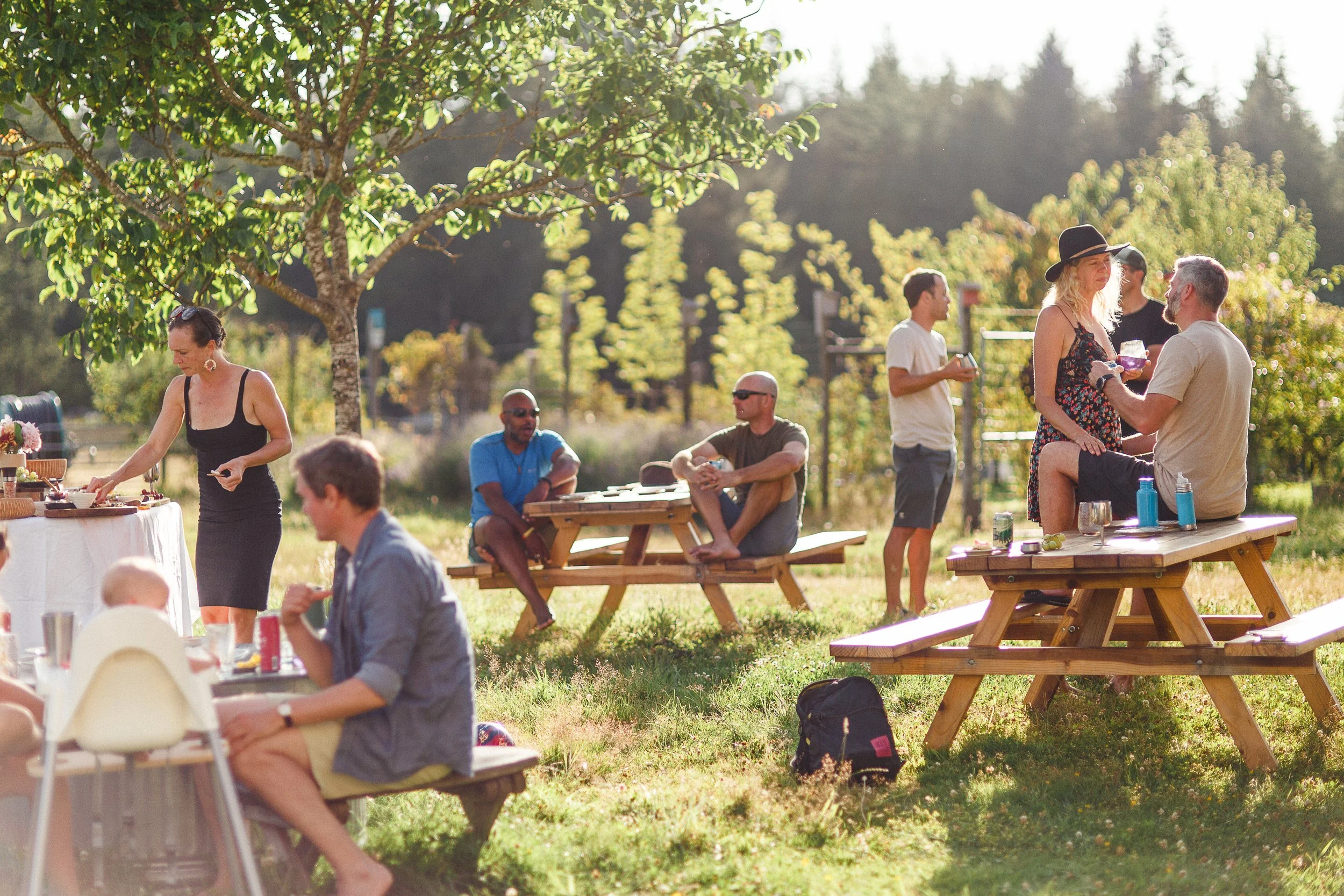 Picnic Outdoor.jpg