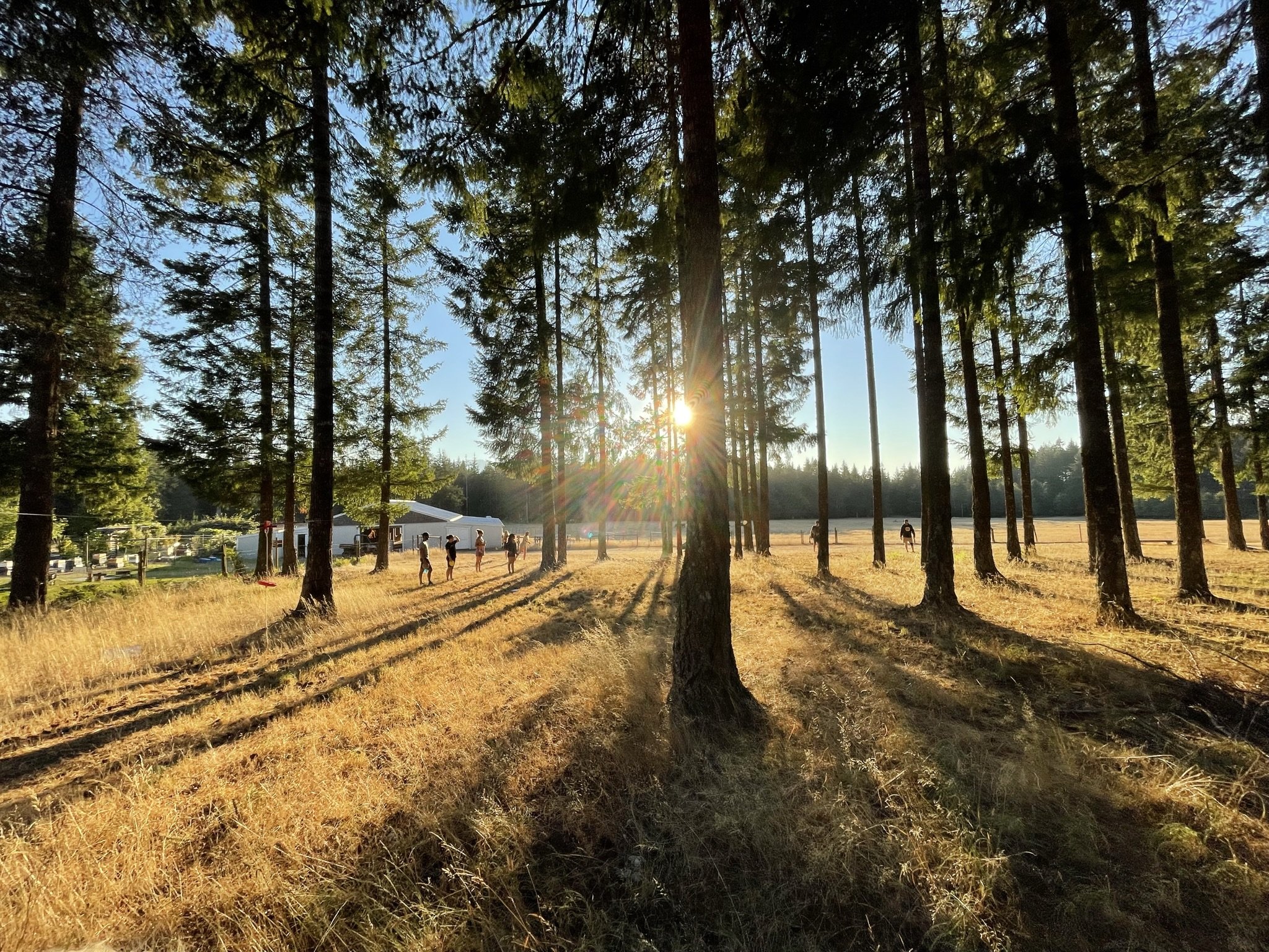 SLF Sunrise Landscape.jpg.jpg