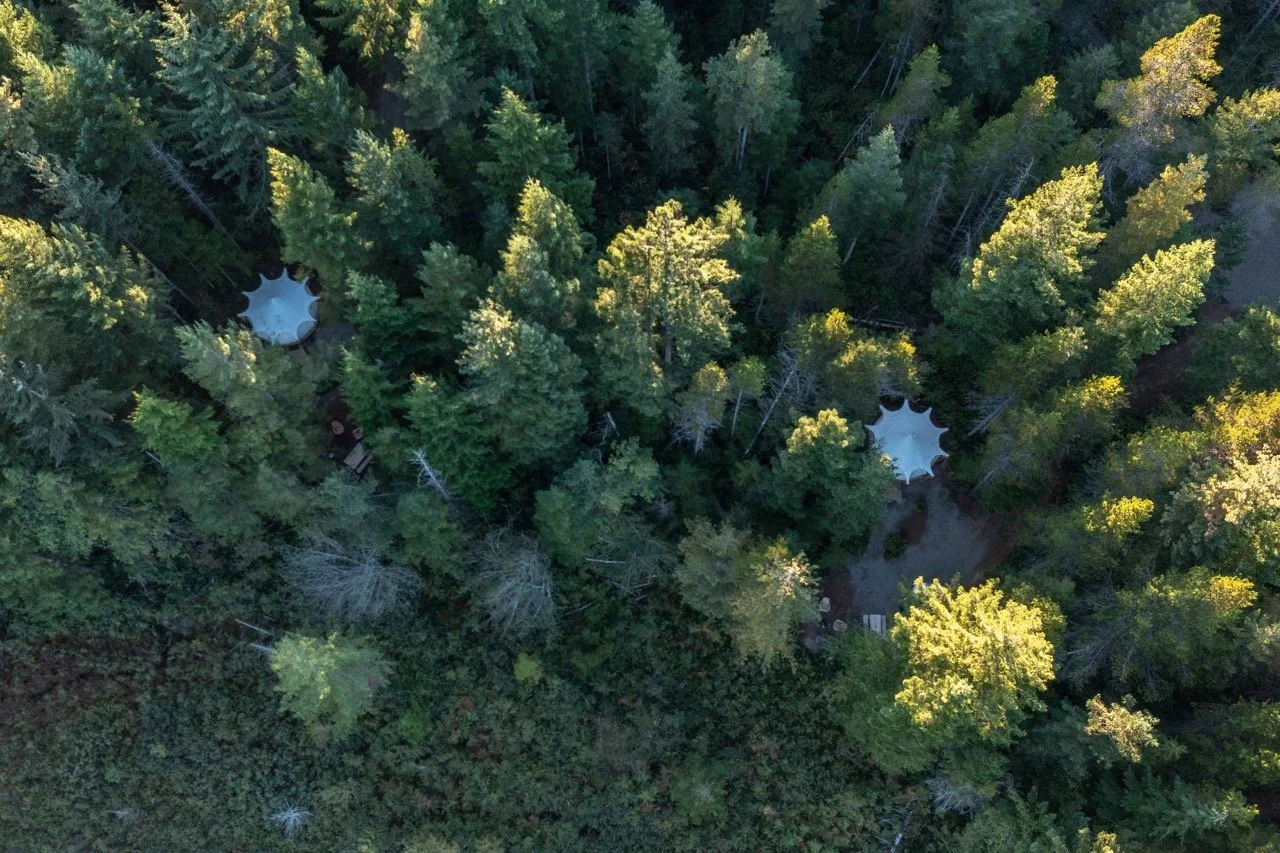 Drone.1 Large.jpeg