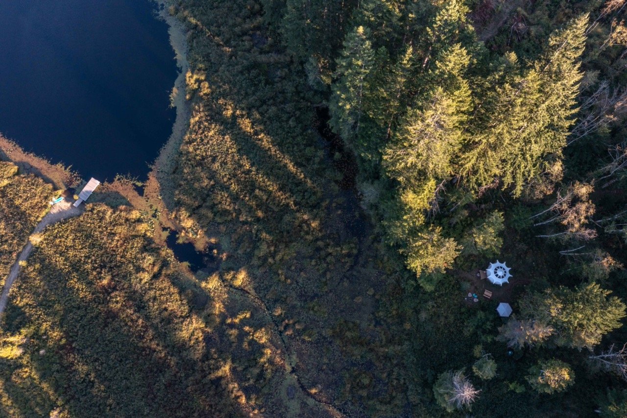 WhitePine.Drone.1 Large.jpeg