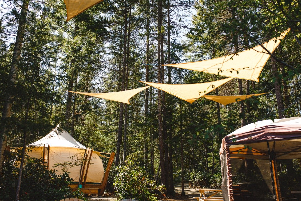 WhitePine.Glamping.3 Large.jpeg