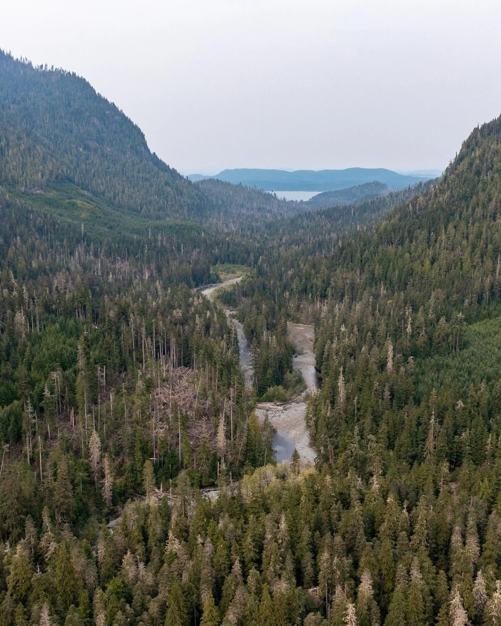 20220911-20220911-DJI_0836 Large.jpeg