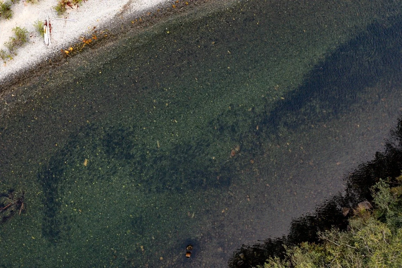 20220911-20220911-DJI_0839 Large.jpeg