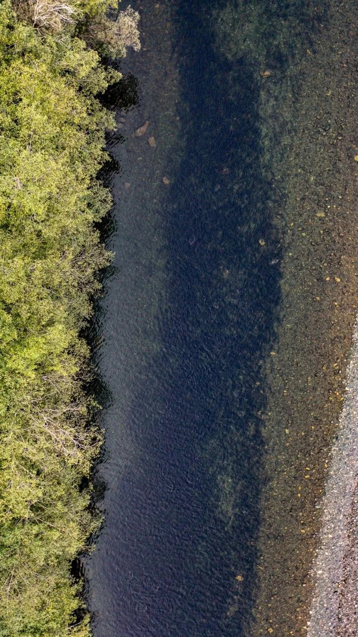 20220911-20220911-DJI_0840 Large.jpeg