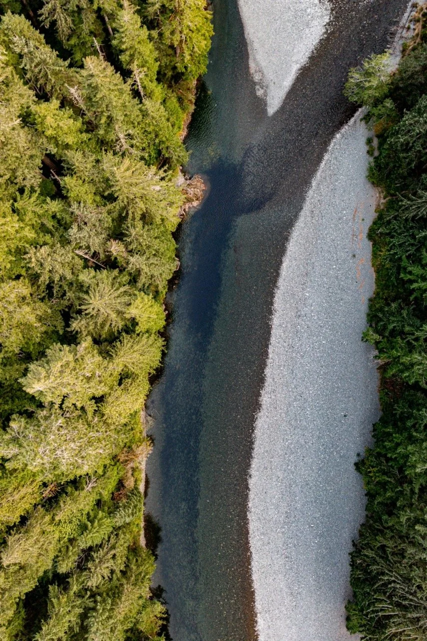 20220911-20220911-DJI_0842-2 Large.jpeg