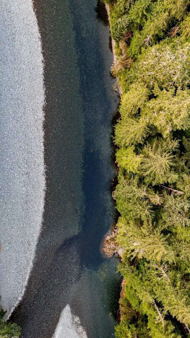 20220911-20220911-DJI_0843 Large.jpeg