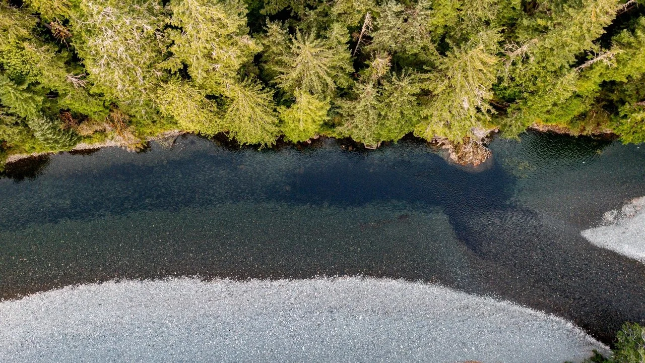 20220911-20220911-DJI_0843-2 Large.jpeg