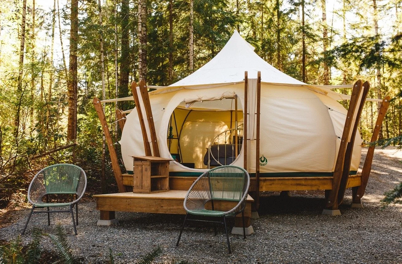 SLF White Pine Glamping Large.jpg