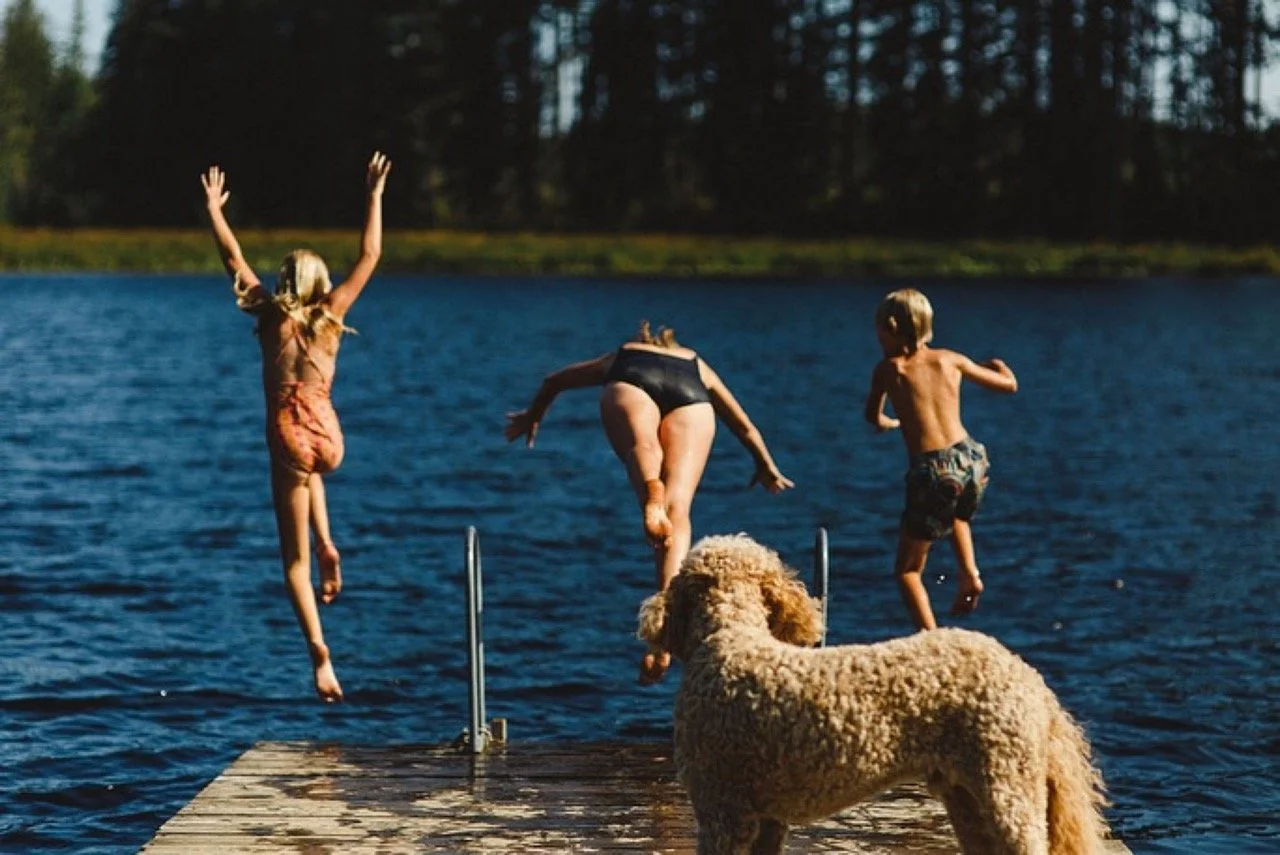 Lake dog and People Large.jpeg