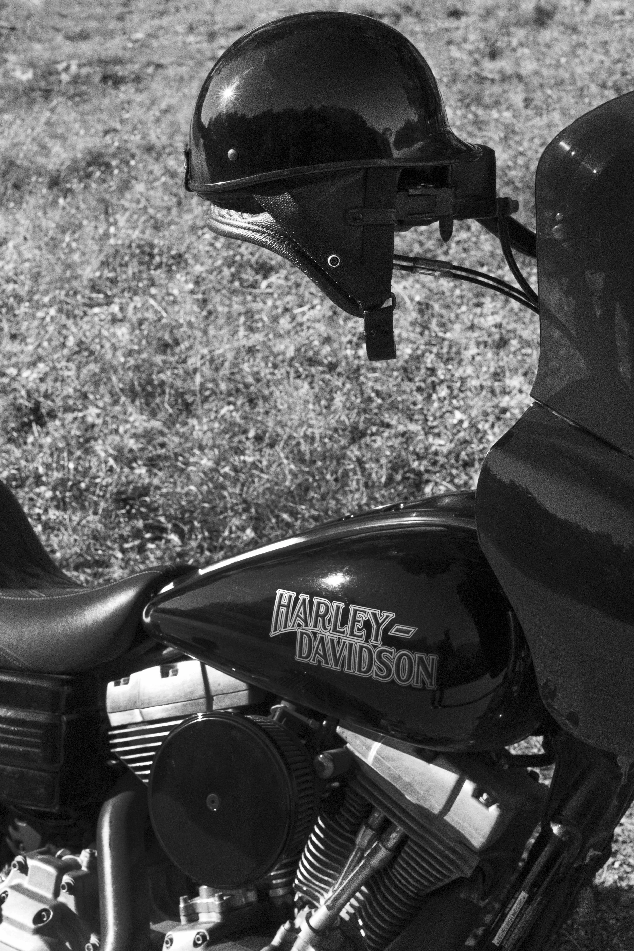 RIVER ROAD FIVEBALL JOCKEY #2 B&W.jpg