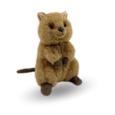 Dinki Di- Giggles the Quokka