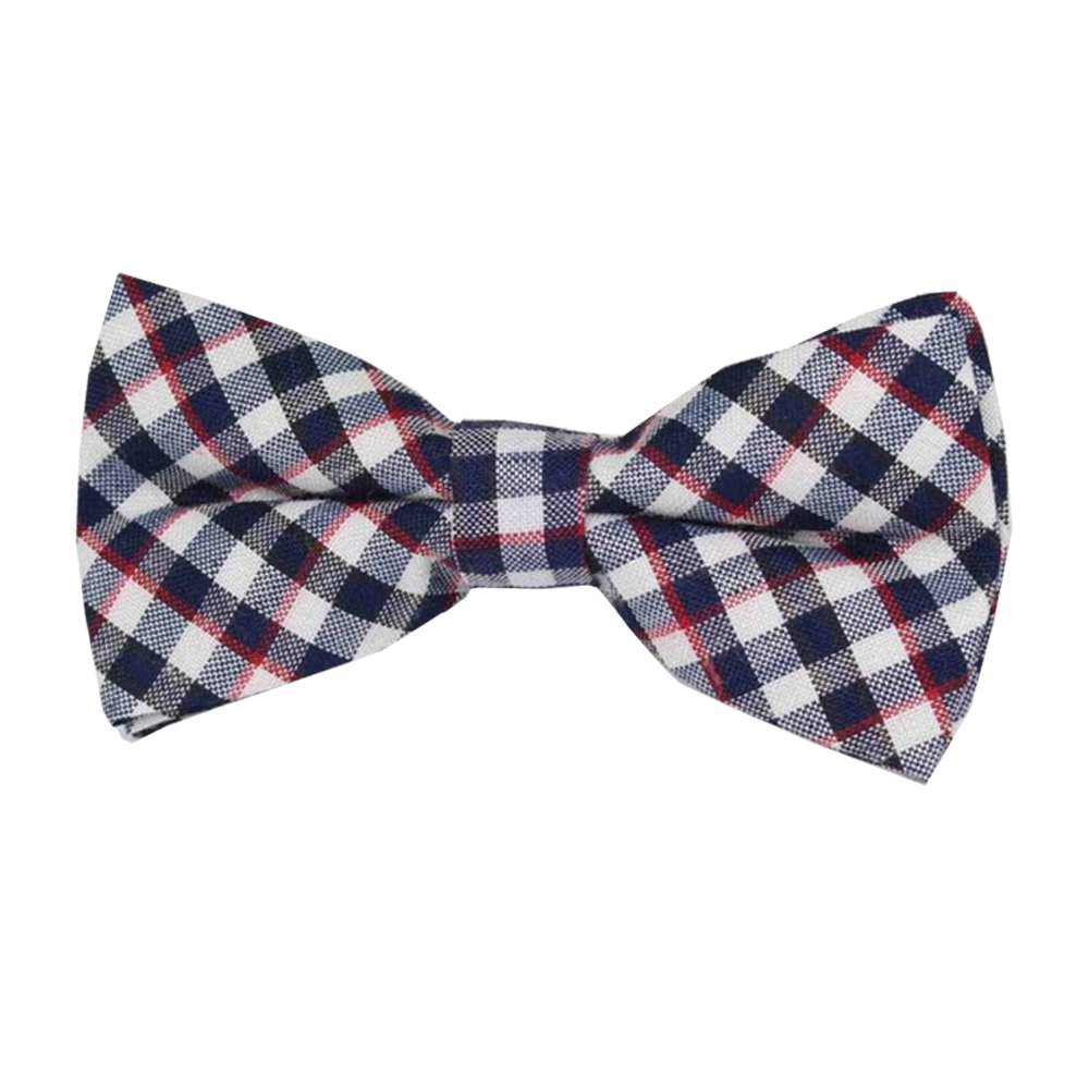 Plaid bowtie 15.jpg