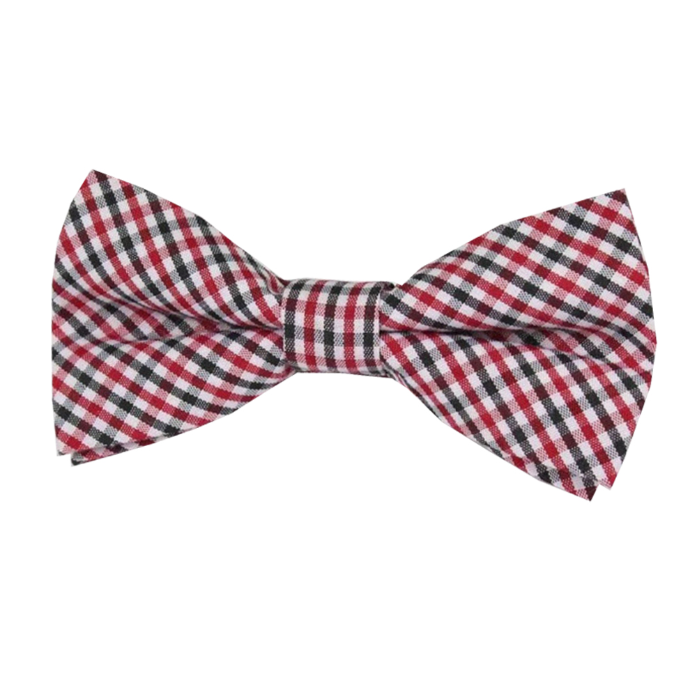 Plaid bowtie 11.jpg