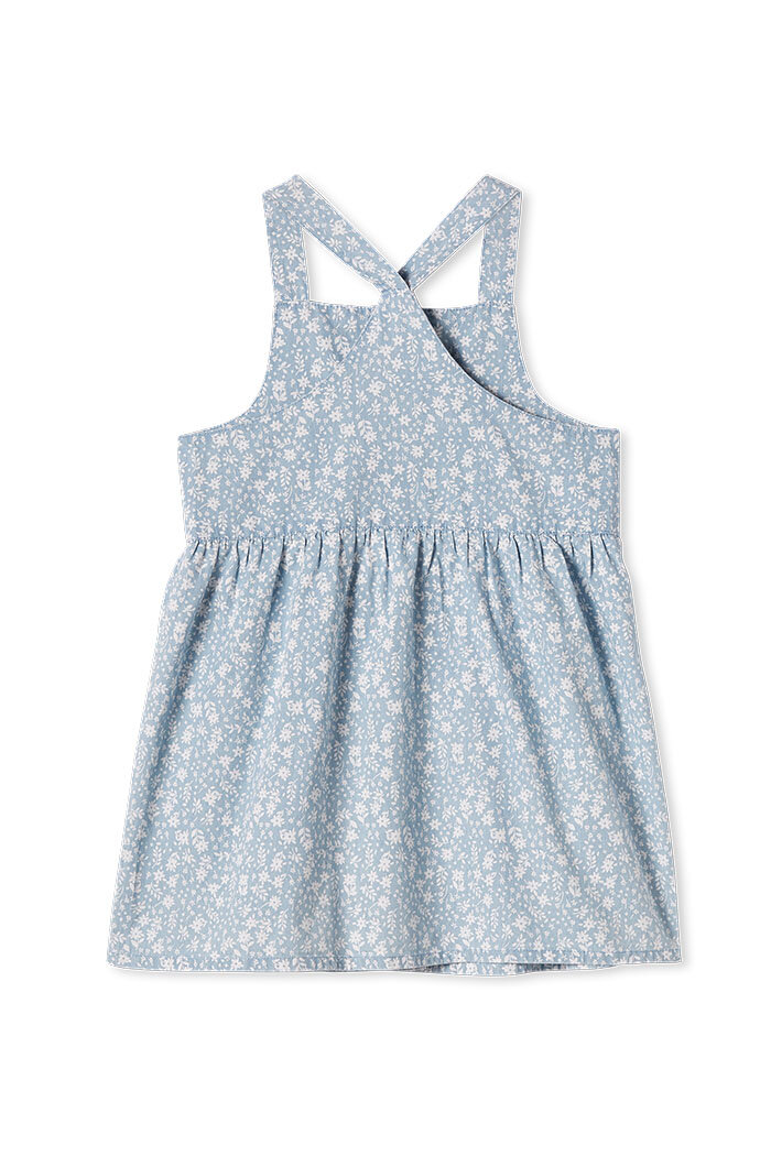 420S43 DENIM DRESS BACK.jpg