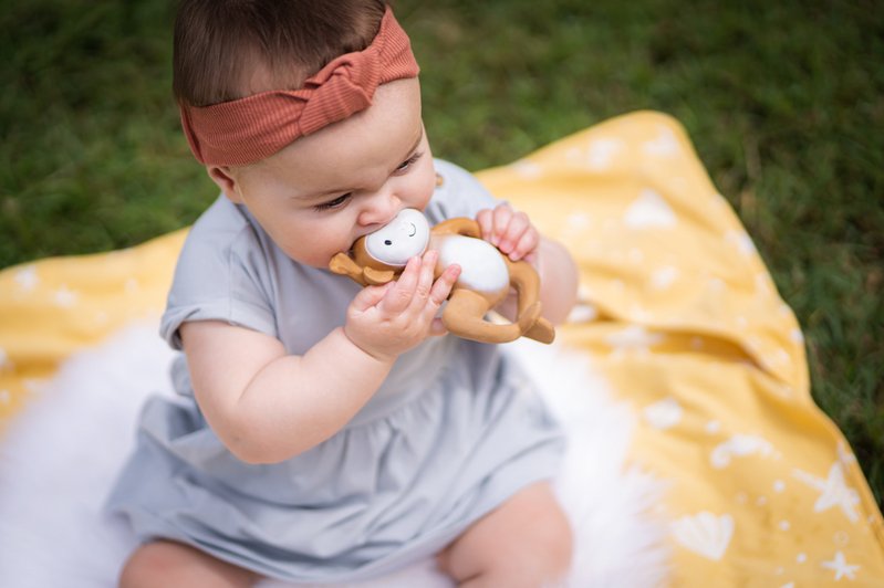 Monkey Teether 2.jpg