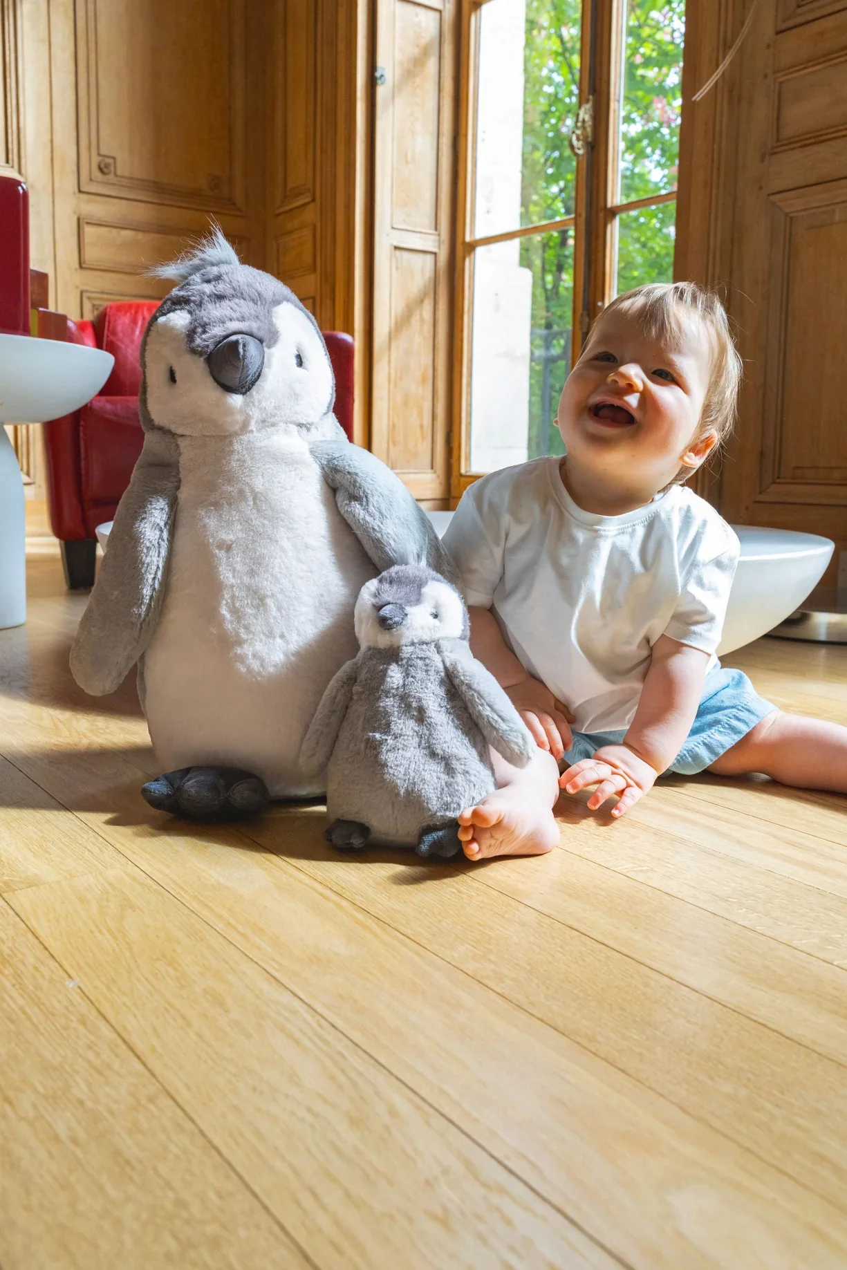 paulo-the-penguin-nanahuchy-1243905433.webp