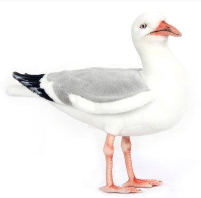 Hansa - Seagull
