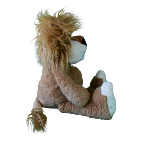 madsafari_lion50 (1).png