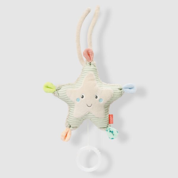 Fehn - Mini Musical Starfish