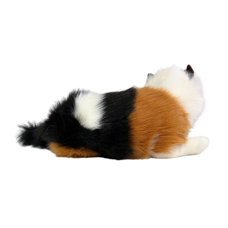Marmalade_8_800x.webp