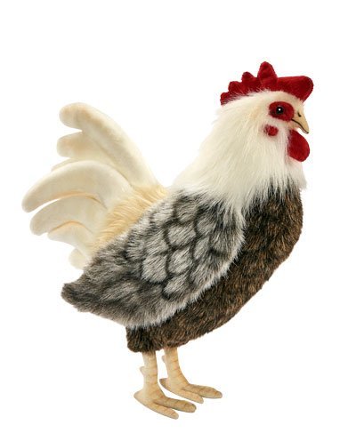 Hansa - Rooster