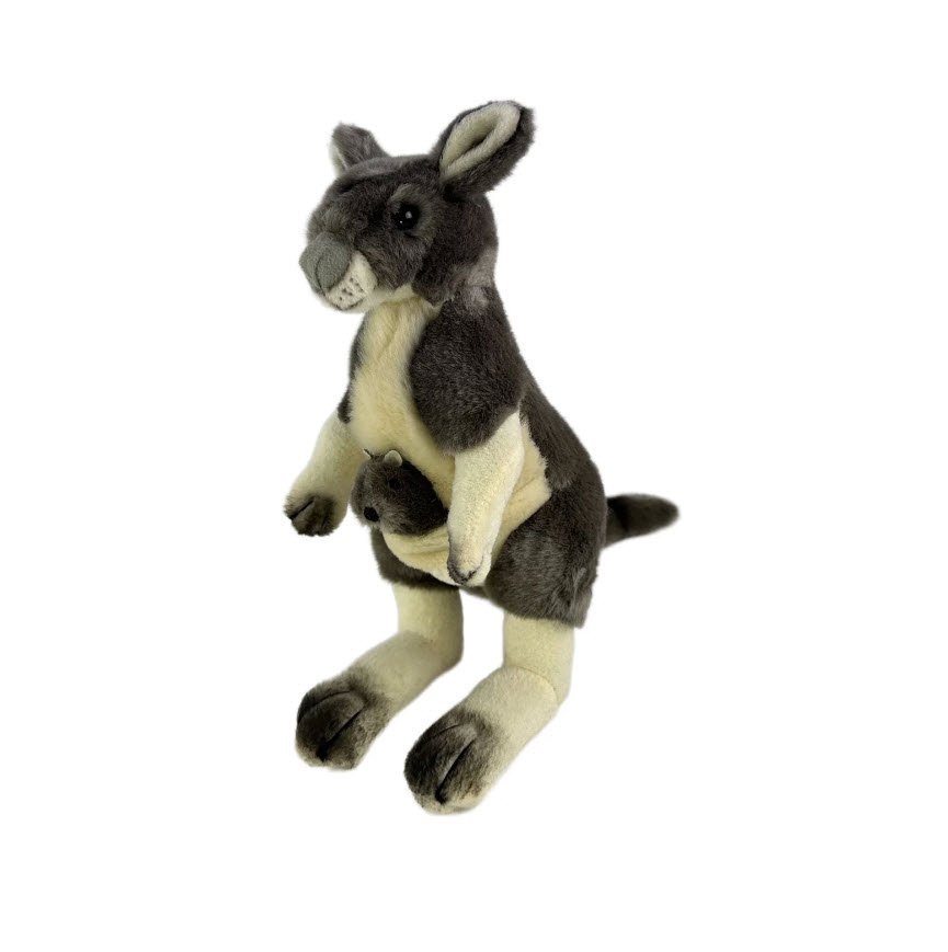 Tracy is a grey Kangaro.jpg
