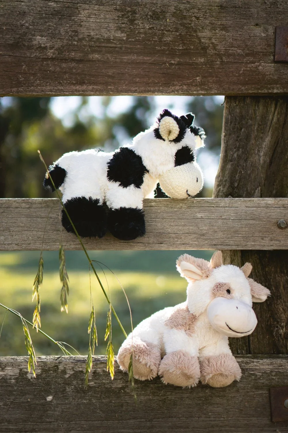 coco-the-cow-cream-nana-huchy-15693153402966.webp