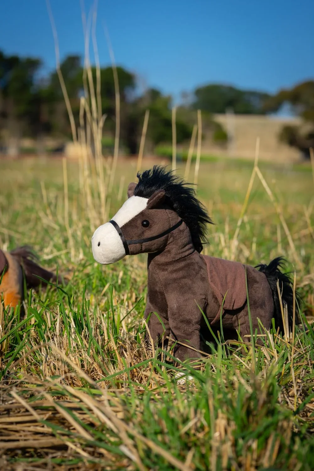 thunder-the-horse-make-it-personal-nana-huchy-44009958146338.webp
