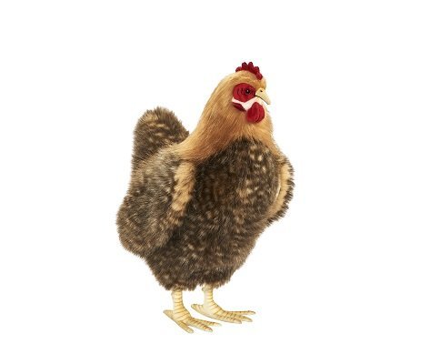 Hansa - Beige Hen