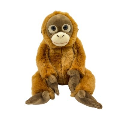 Dinki Di- Orangutan