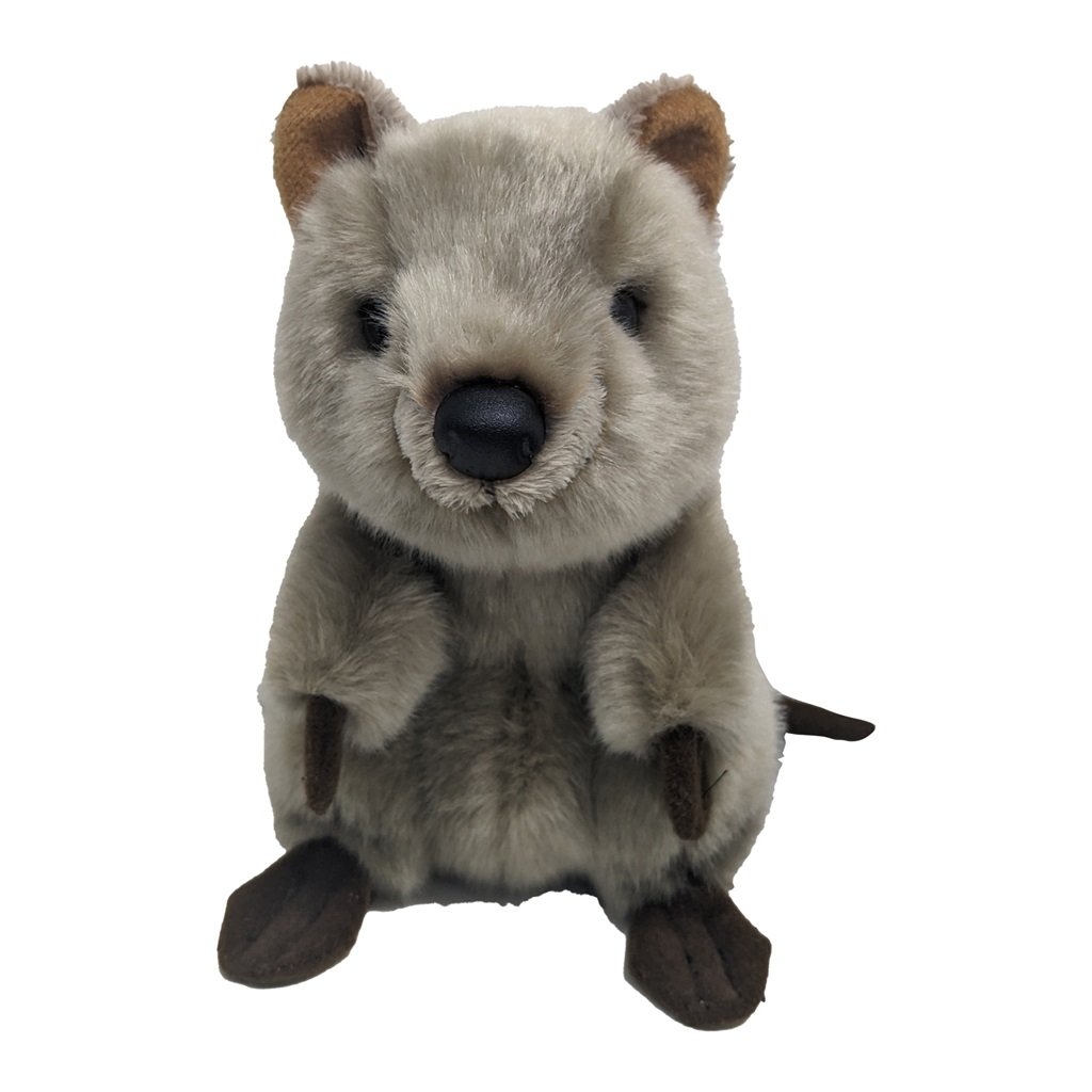 Korimco - Lil Friends Quokka 18cm