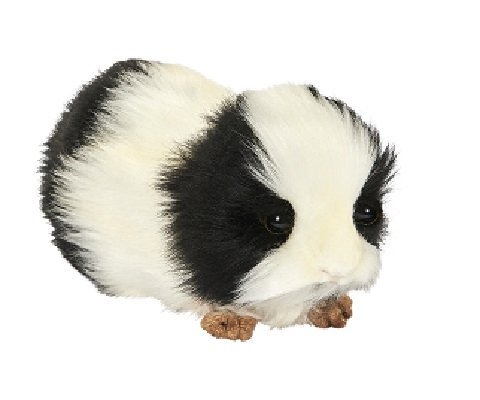 Hansa - Guinea Pig Black & White