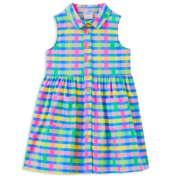 Picnic Check Dress.jpg