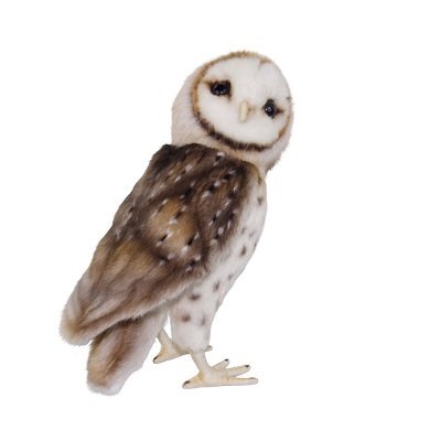 Hansa - Barn Owl