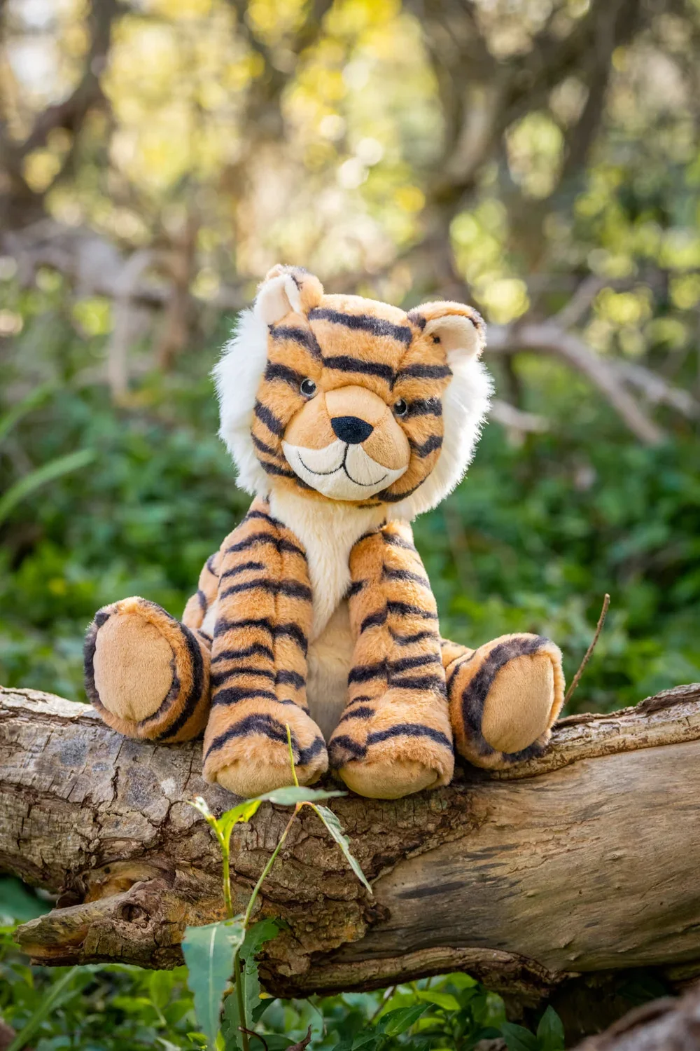 tesh-the-tiger-nanahuchy-41520080552226.webp