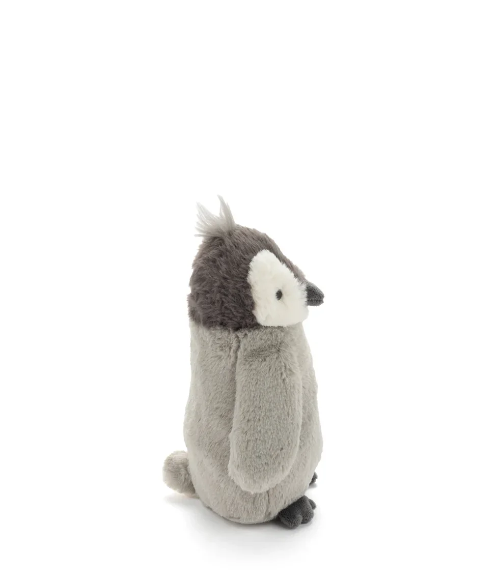 paulo-the-penguin-nanahuchy-1243905437.webp