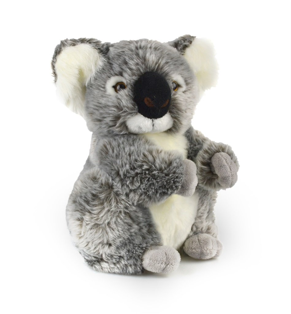 Korimco - Koala Kalypso 21cm